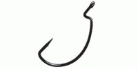 Worm